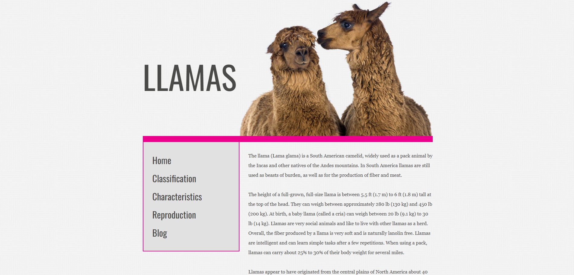 screenshot of website