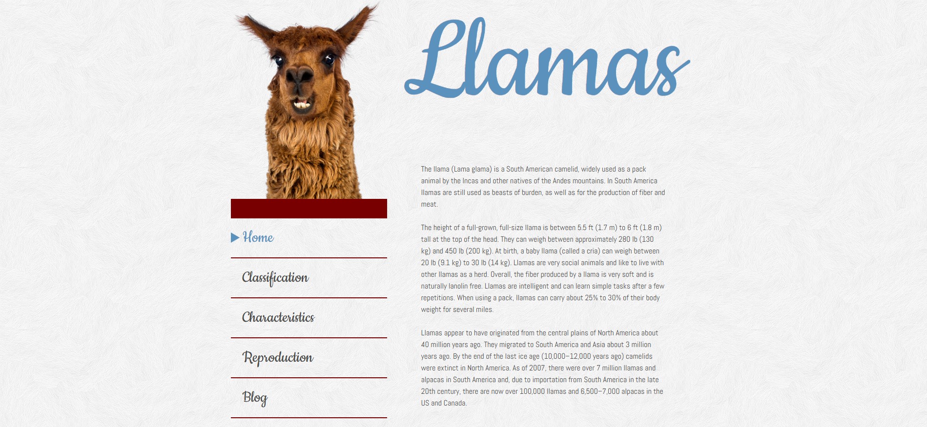 screenshot of website